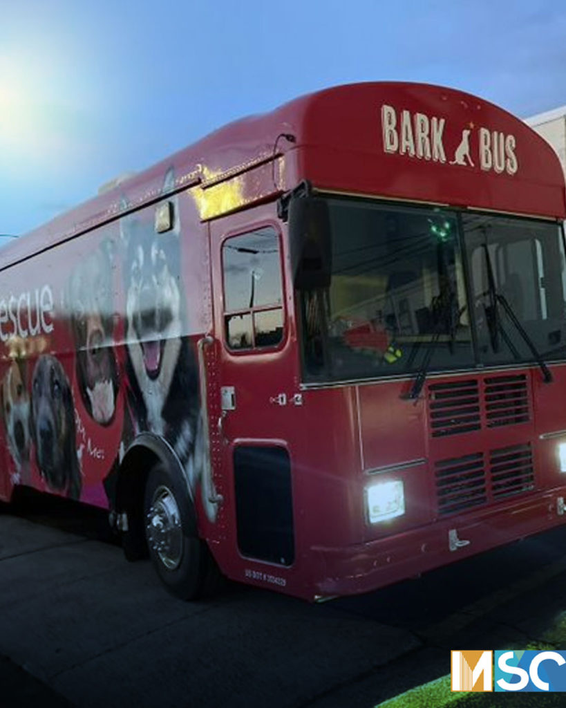 branding bus wrap